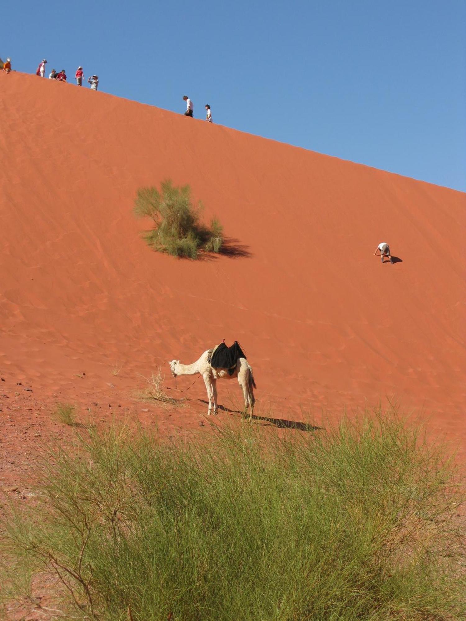 Wadi Rum Time Camp Екстер'єр фото